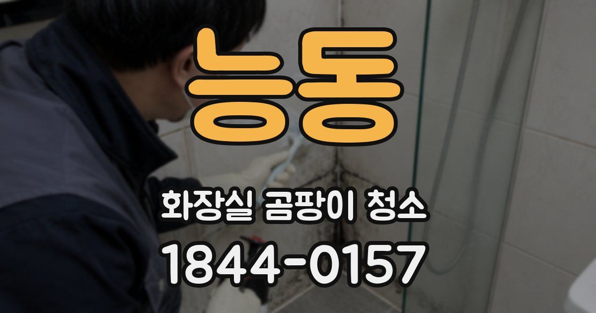 능동 화장실 곰팡이 청소