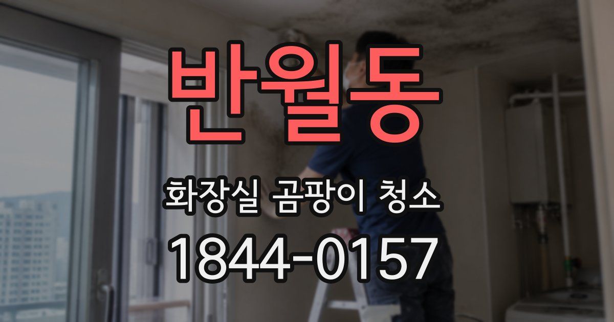 반월동 화장실 곰팡이 청소