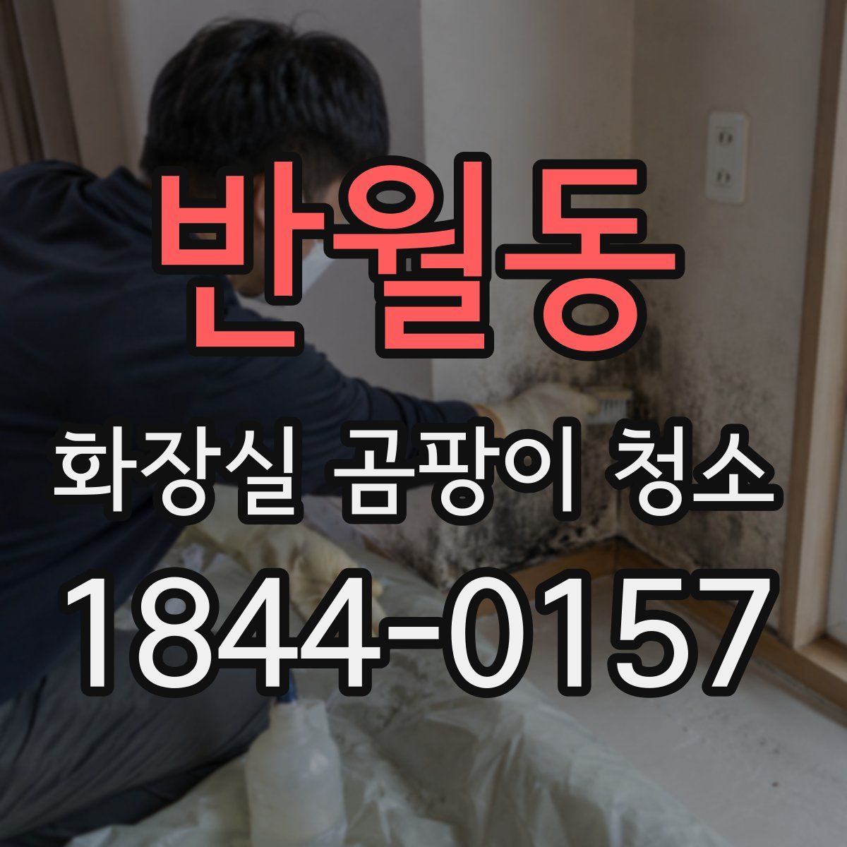 반월동 화장실 곰팡이 청소