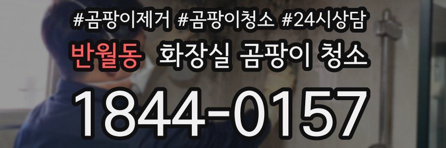 반월동 화장실 곰팡이 청소