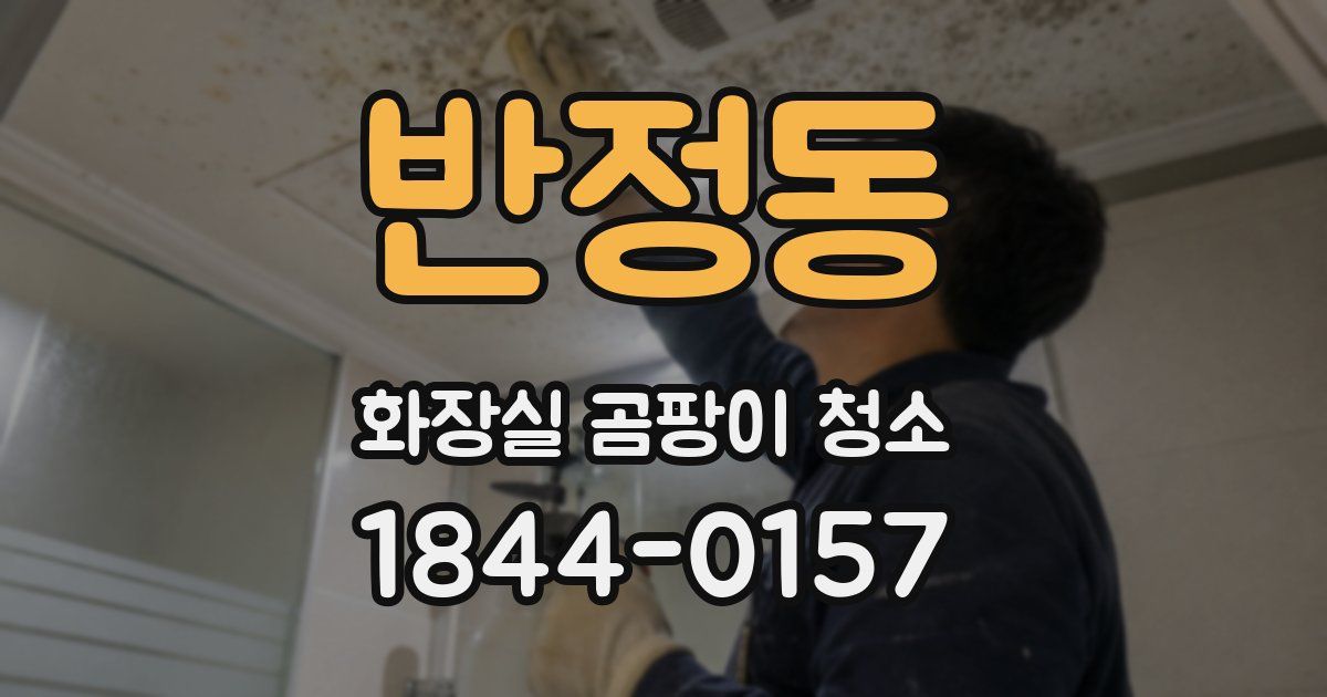 반정동 화장실 곰팡이 청소
