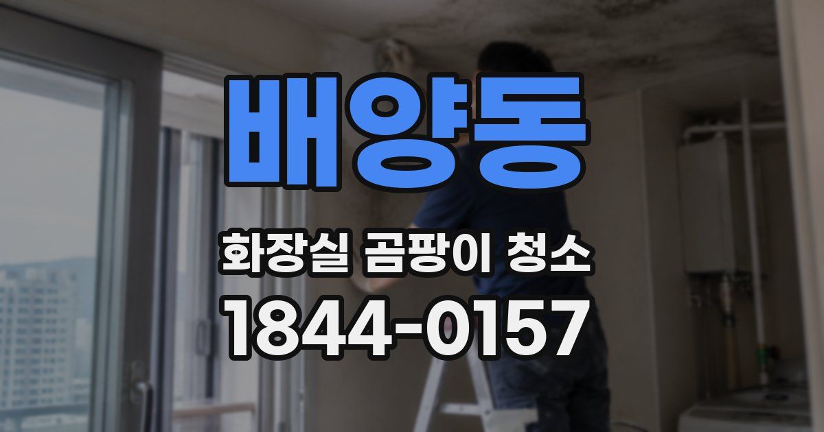 배양동 화장실 곰팡이 청소