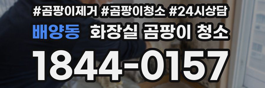 배양동 화장실 곰팡이 청소