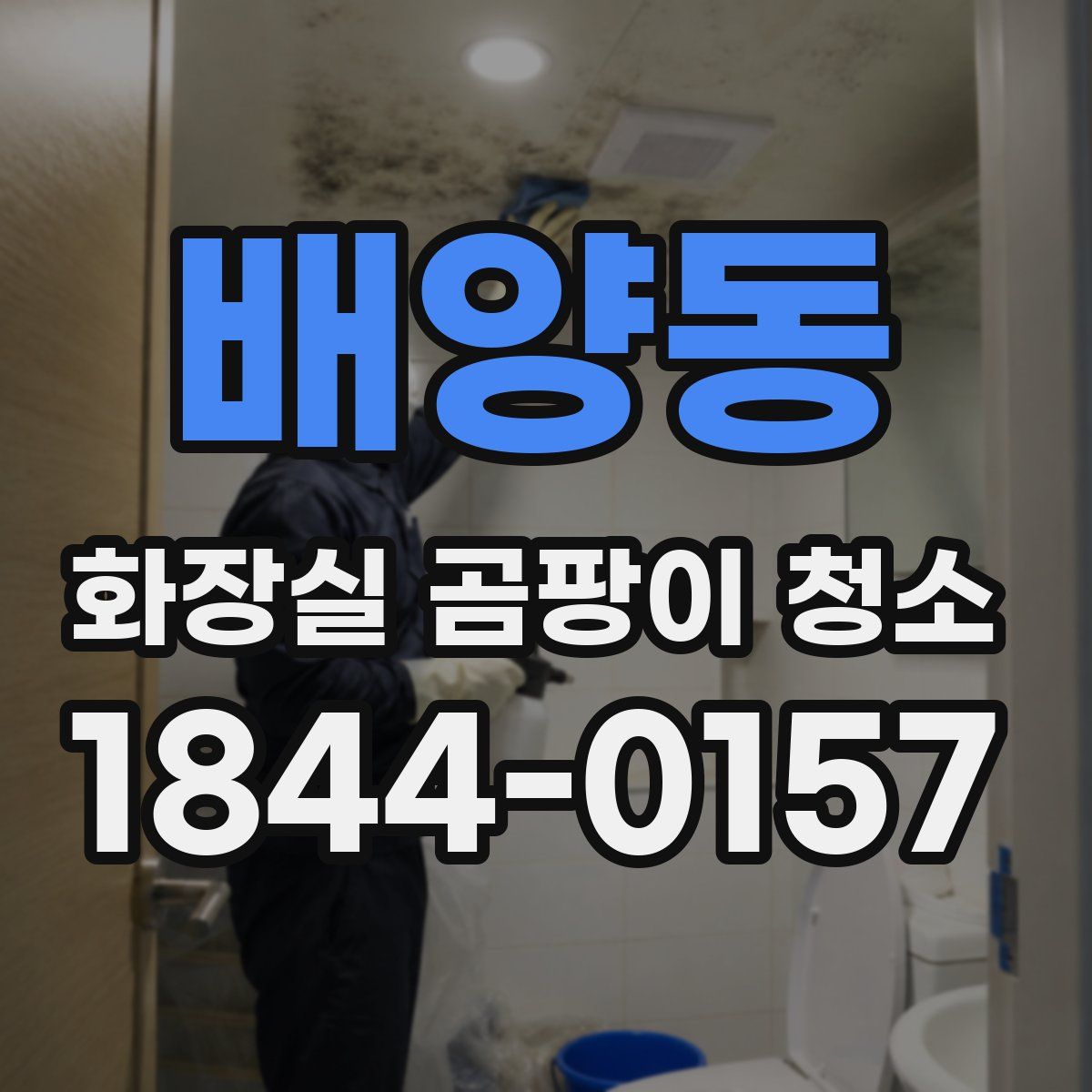 배양동 화장실 곰팡이 청소