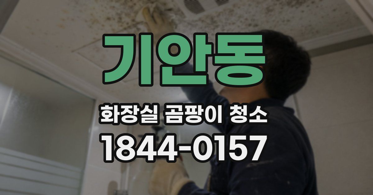 기안동 화장실 곰팡이 청소