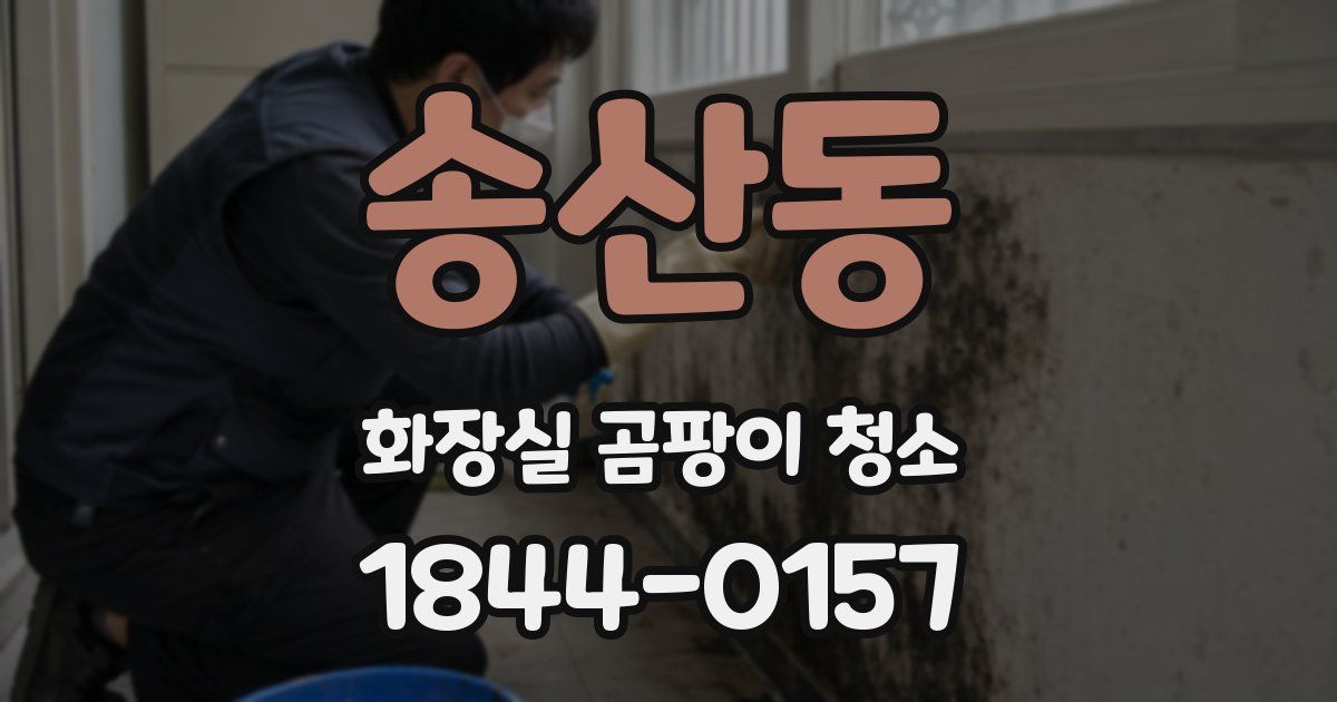 송산동 화장실 곰팡이 청소
