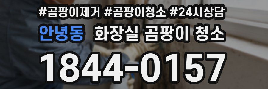 안녕동 화장실 곰팡이 청소