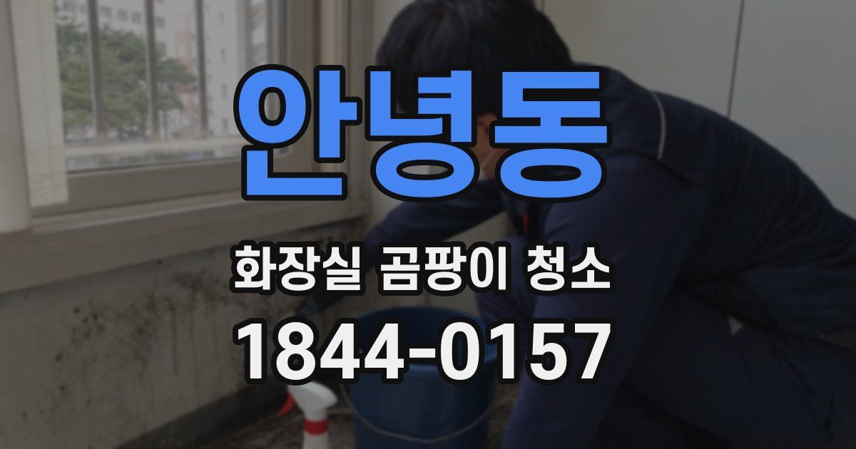 안녕동 화장실 곰팡이 청소