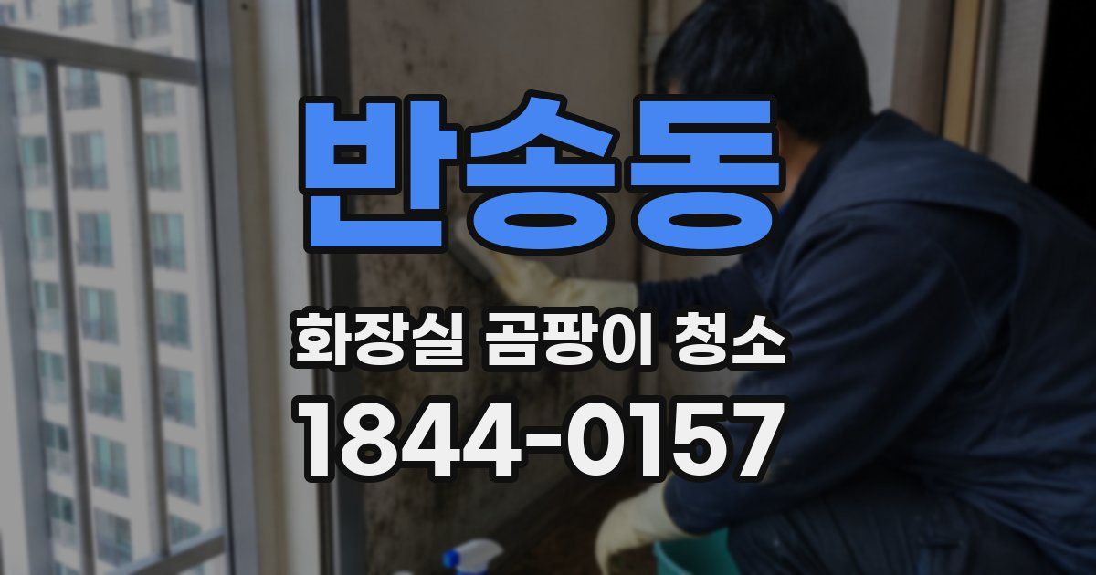 반송동 화장실 곰팡이 청소