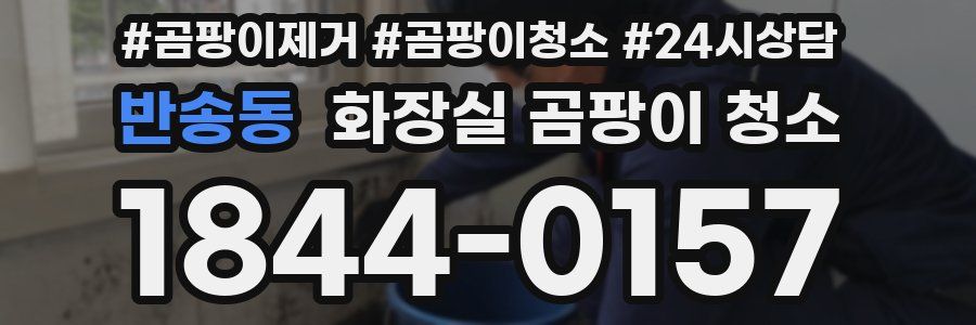 반송동 화장실 곰팡이 청소
