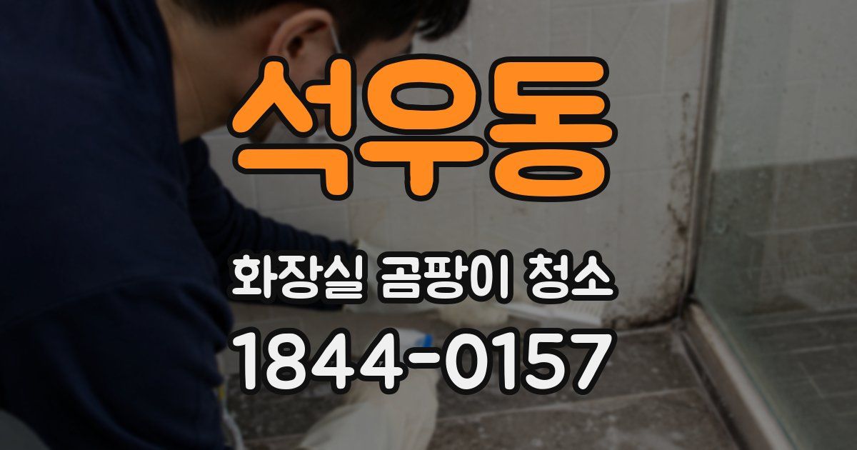석우동 화장실 곰팡이 청소