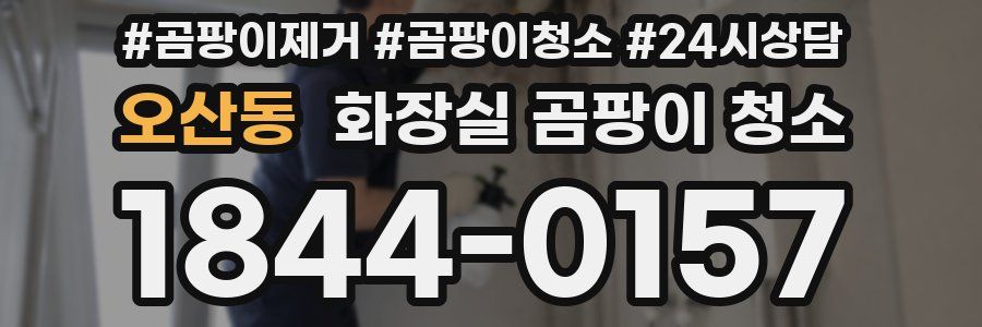 오산동 화장실 곰팡이 청소