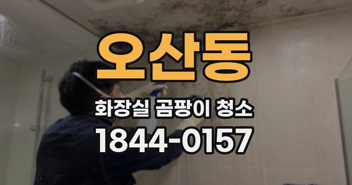 오산동 화장실 곰팡이 청소
