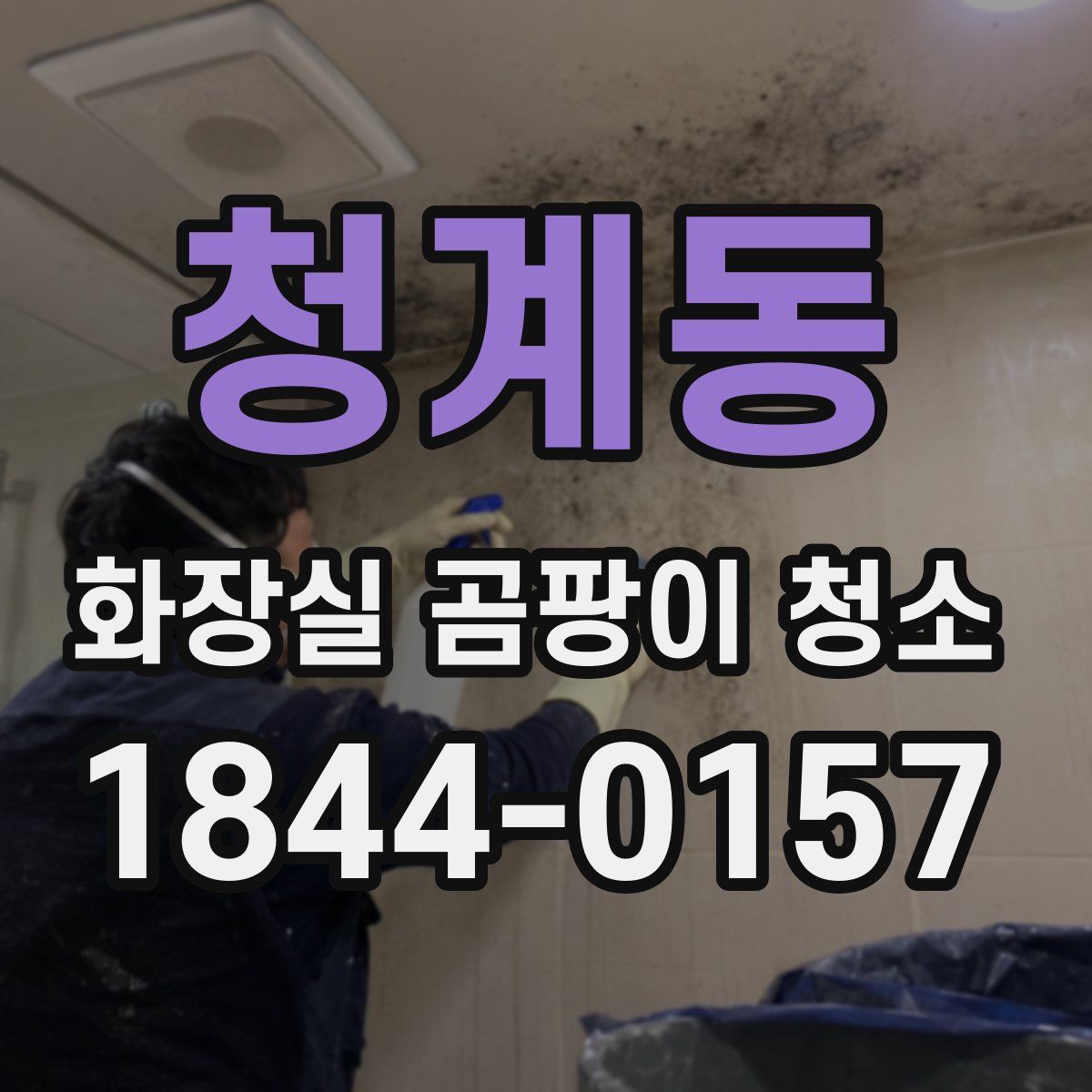청계동 화장실 곰팡이 청소