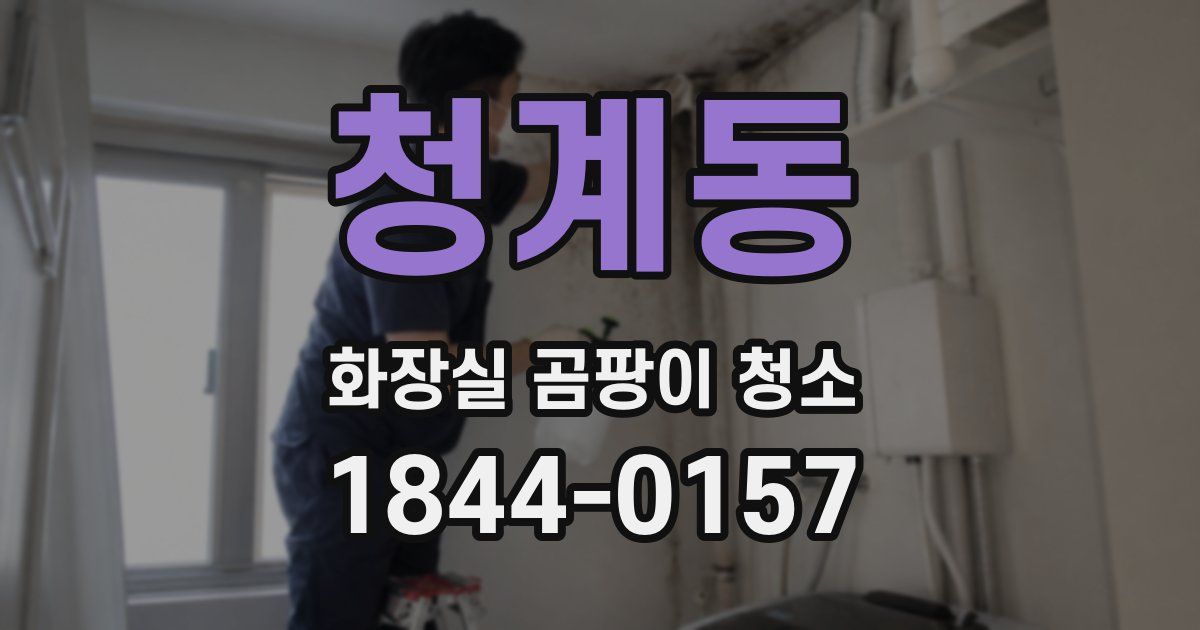 청계동 화장실 곰팡이 청소