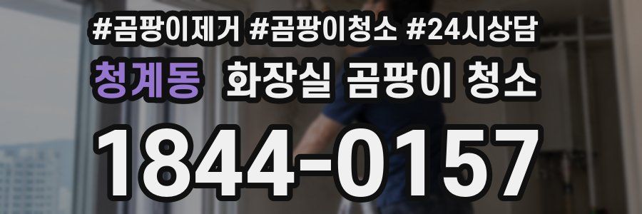 청계동 화장실 곰팡이 청소