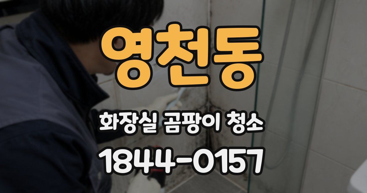 영천동 화장실 곰팡이 청소