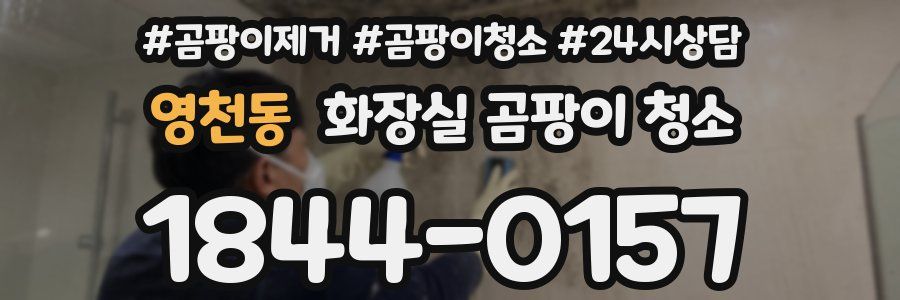영천동 화장실 곰팡이 청소