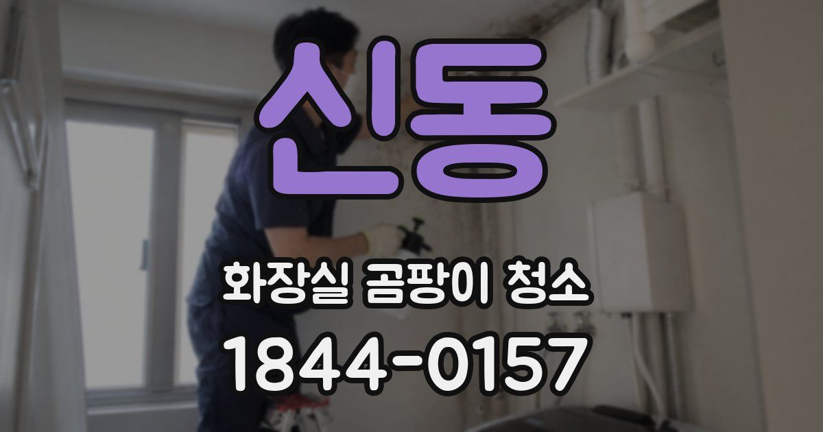 신동 화장실 곰팡이 청소