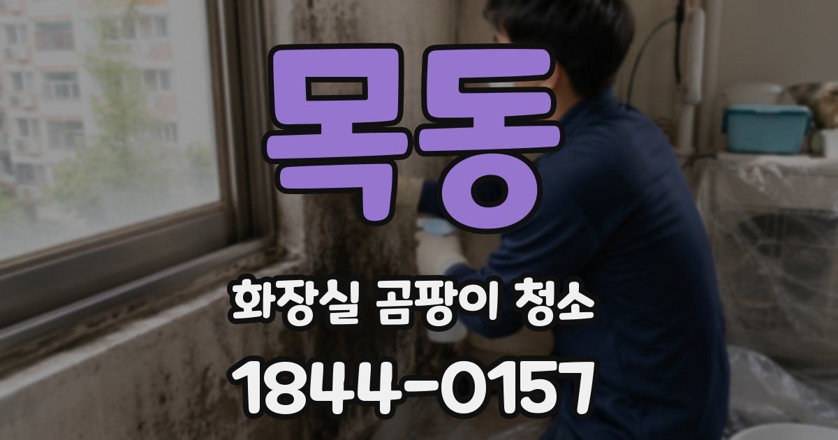 목동 화장실 곰팡이 청소
