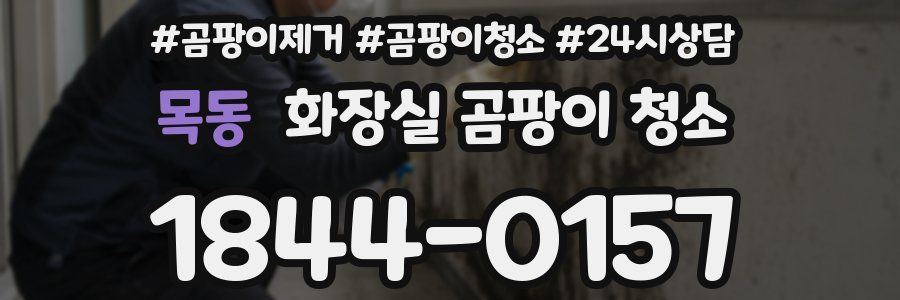 목동 화장실 곰팡이 청소