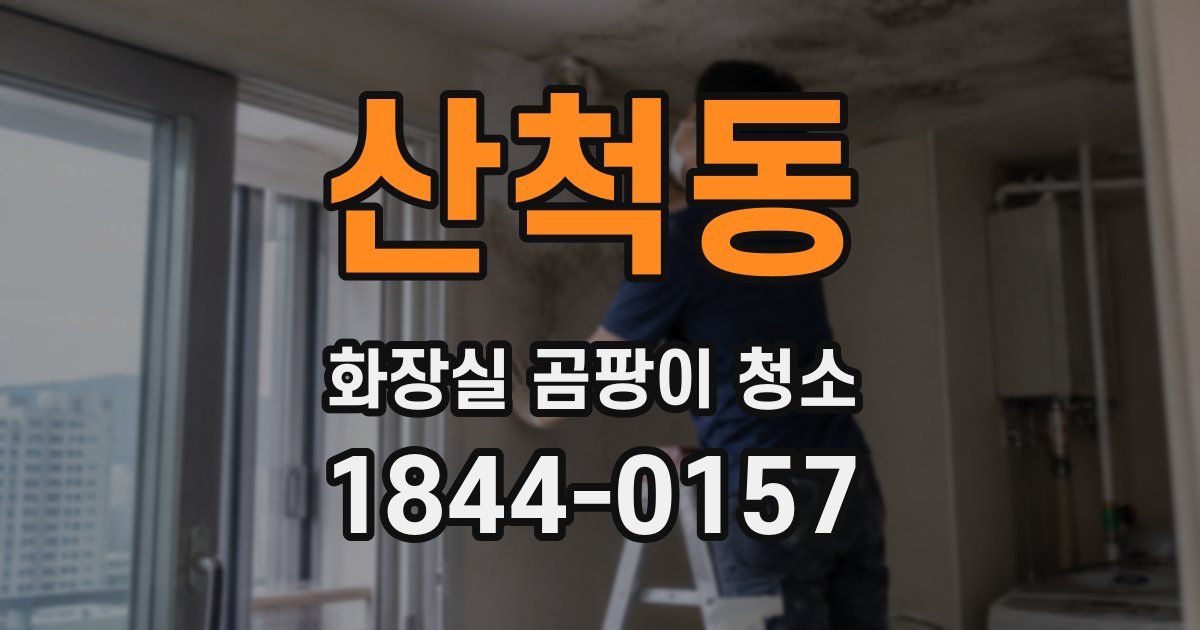 산척동 화장실 곰팡이 청소