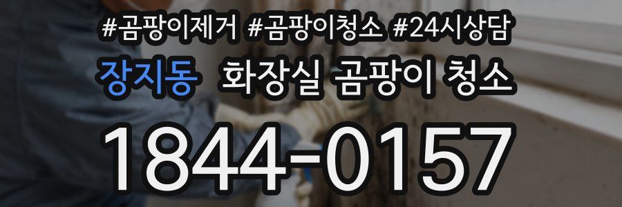 장지동 화장실 곰팡이 청소