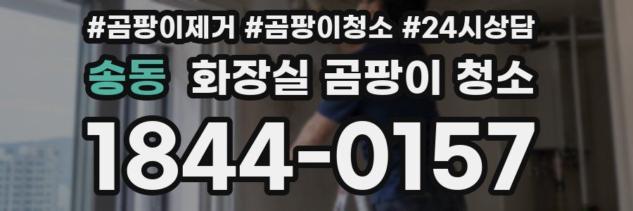 송동 화장실 곰팡이 청소