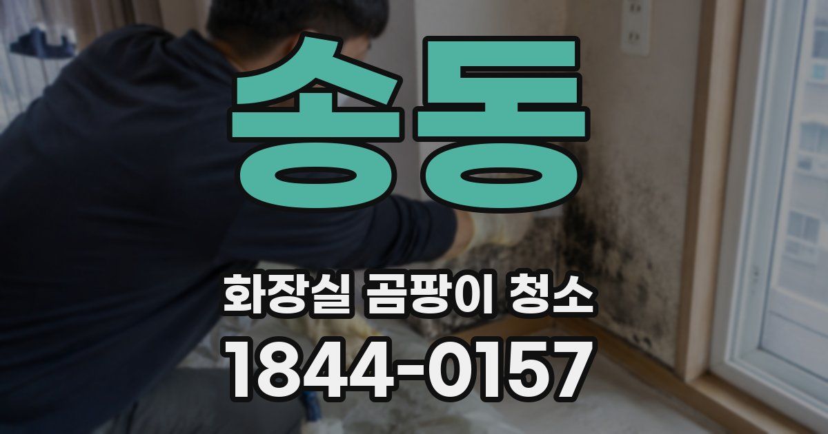 송동 화장실 곰팡이 청소