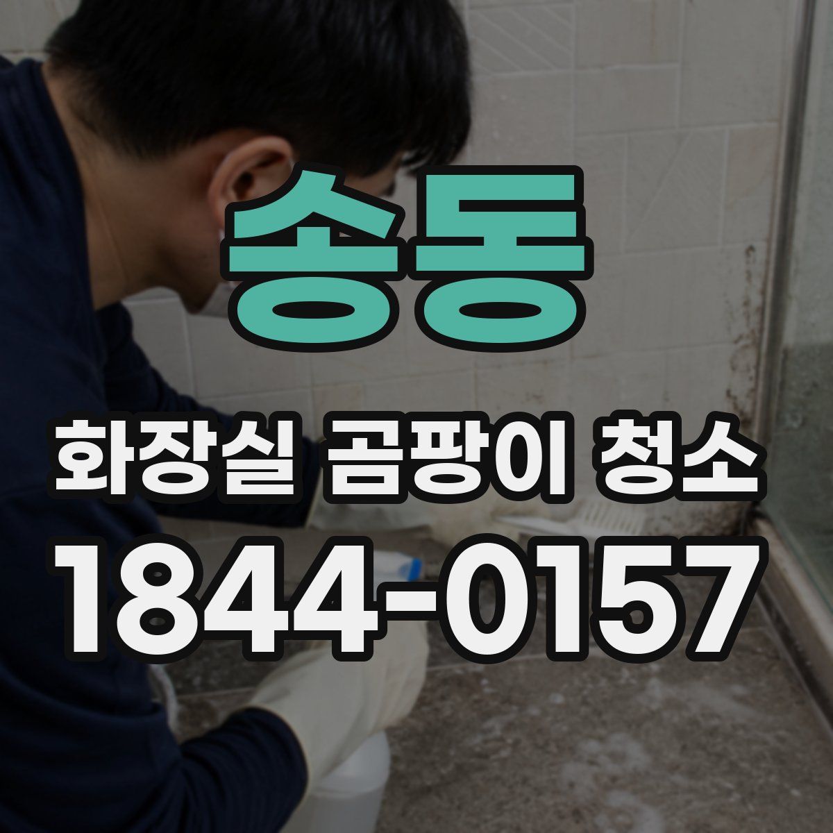 송동 화장실 곰팡이 청소