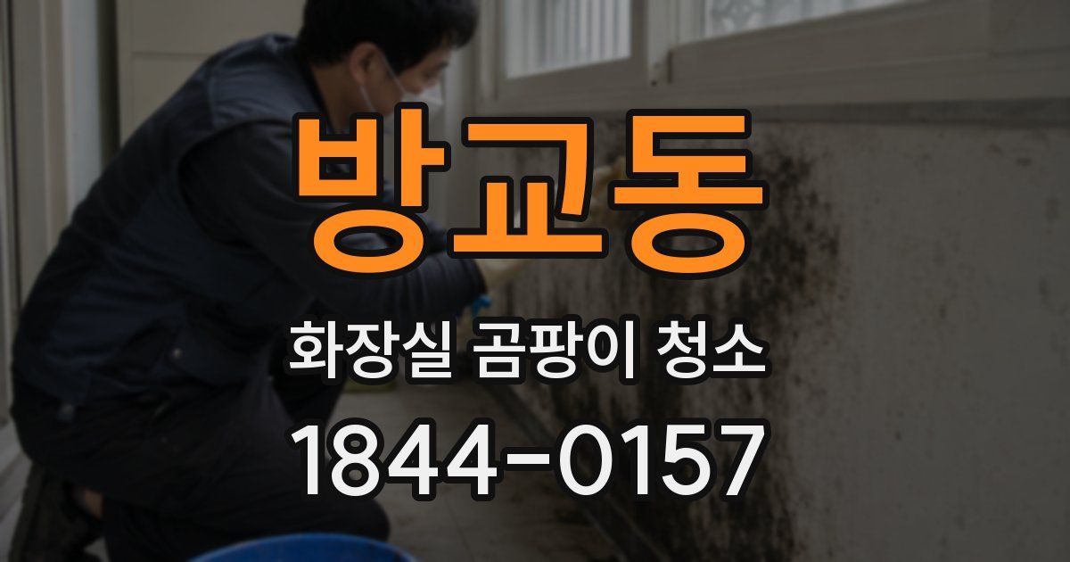 방교동 화장실 곰팡이 청소