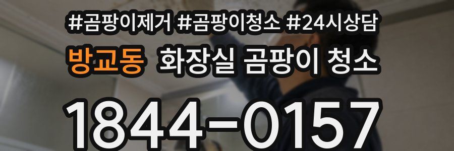 방교동 화장실 곰팡이 청소