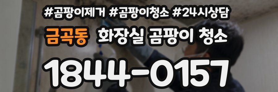 금곡동 화장실 곰팡이 청소