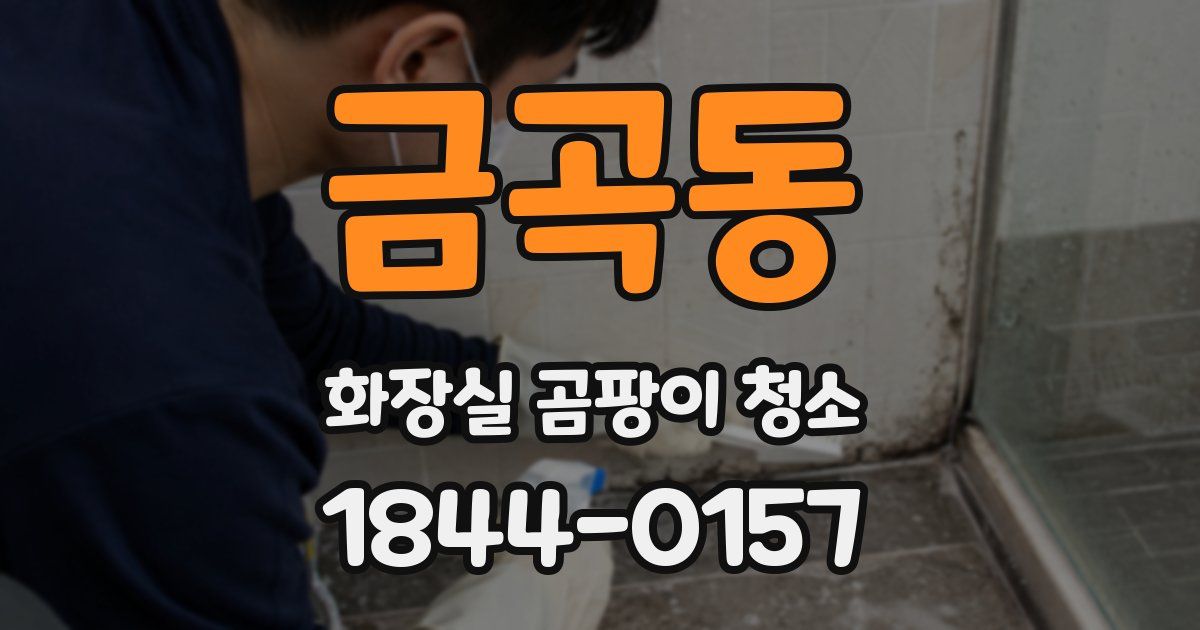 금곡동 화장실 곰팡이 청소