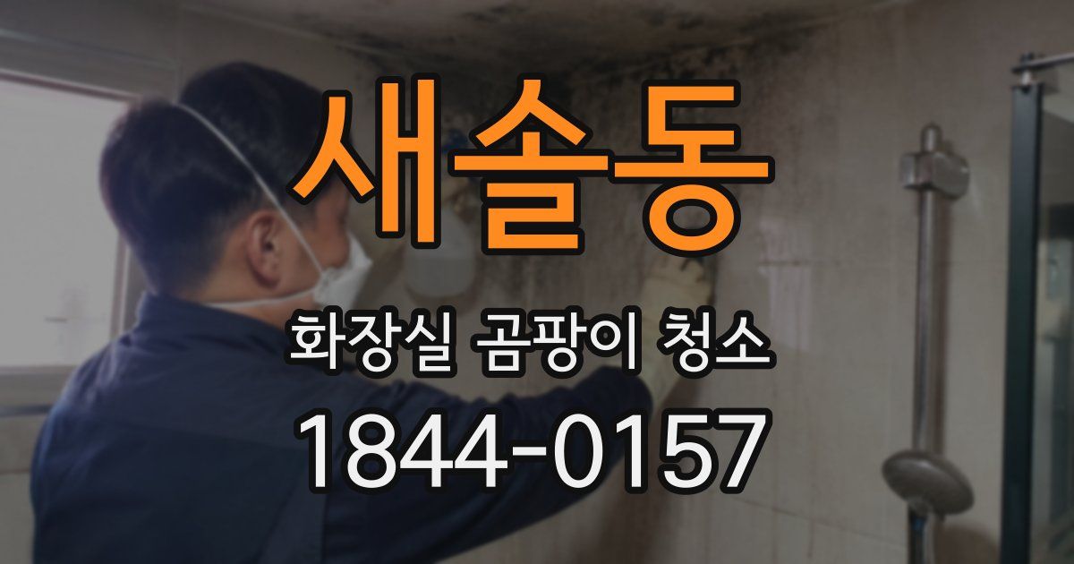 새솔동 화장실 곰팡이 청소