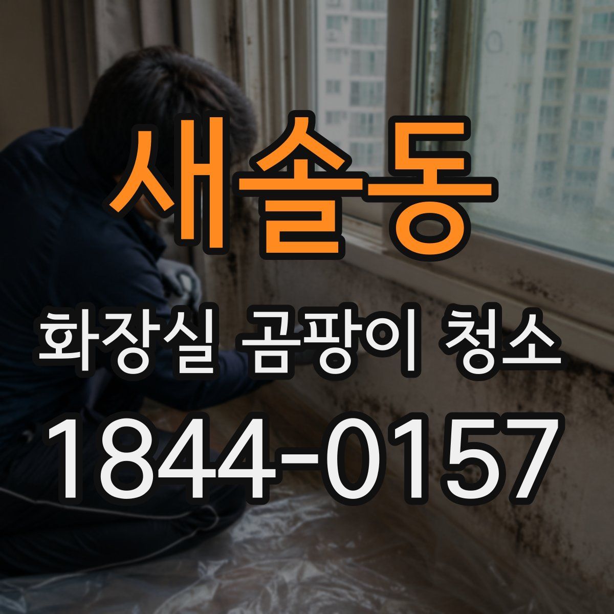 새솔동 화장실 곰팡이 청소