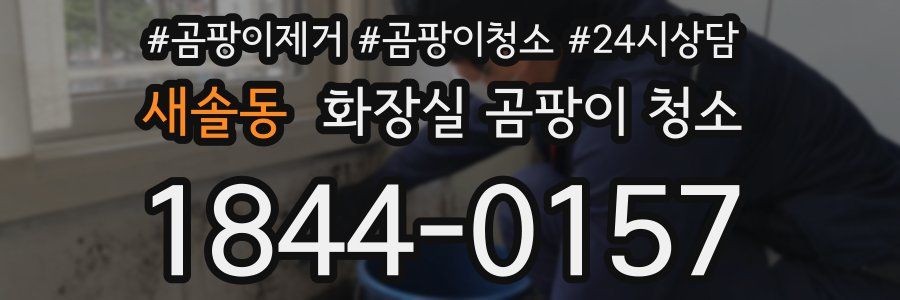 새솔동 화장실 곰팡이 청소