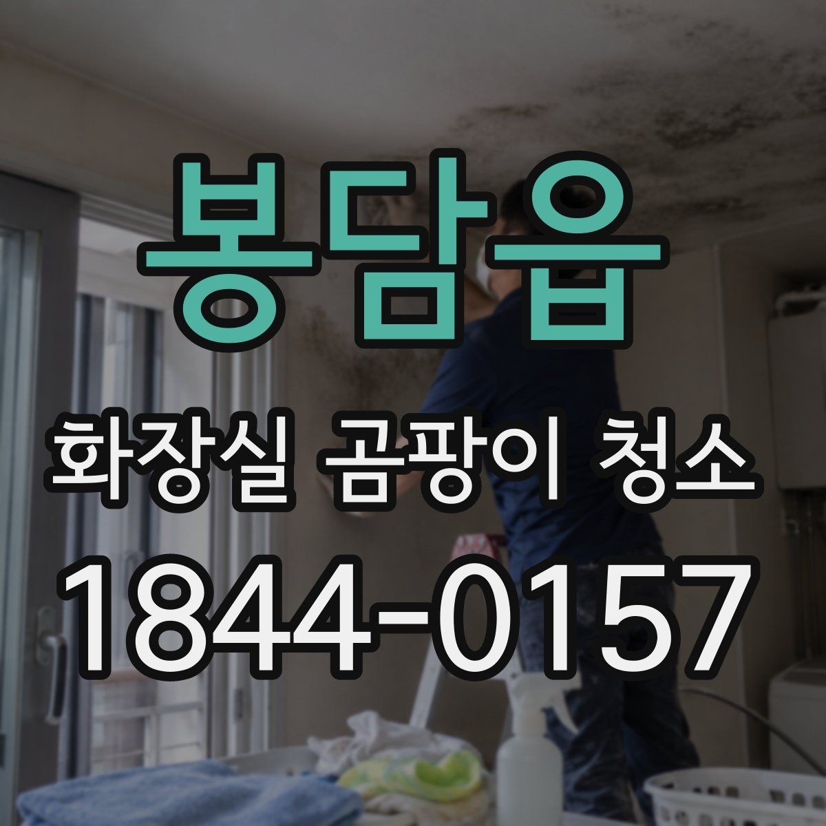 봉담읍 화장실 곰팡이 청소 물때와 헷갈리지 않는 구분법