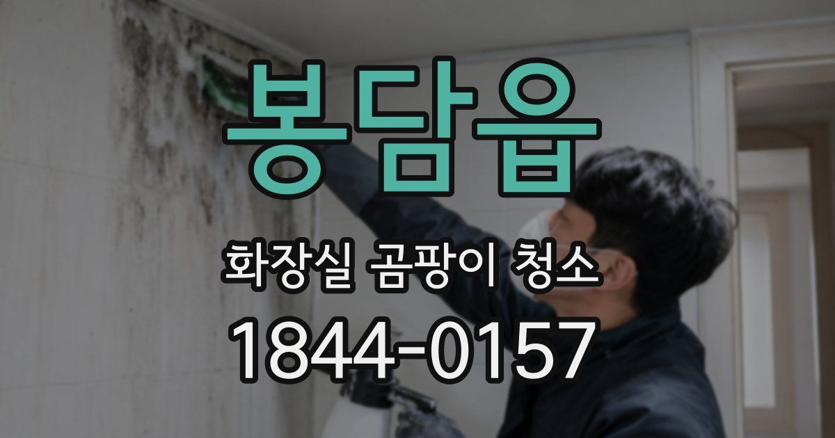 봉담읍 화장실 곰팡이 청소