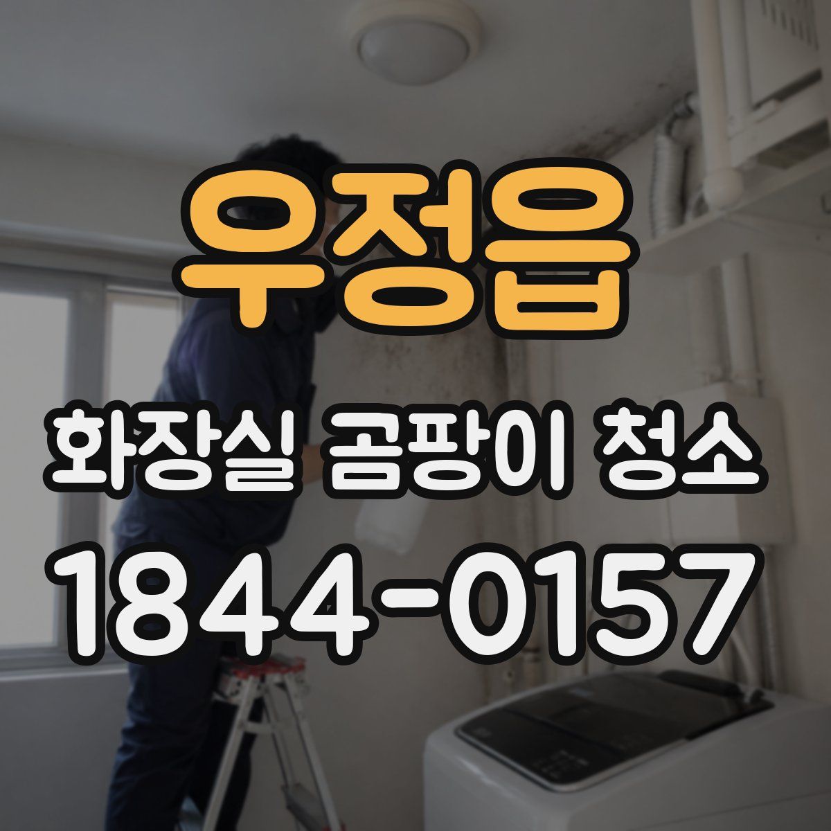 우정읍 화장실 곰팡이 청소