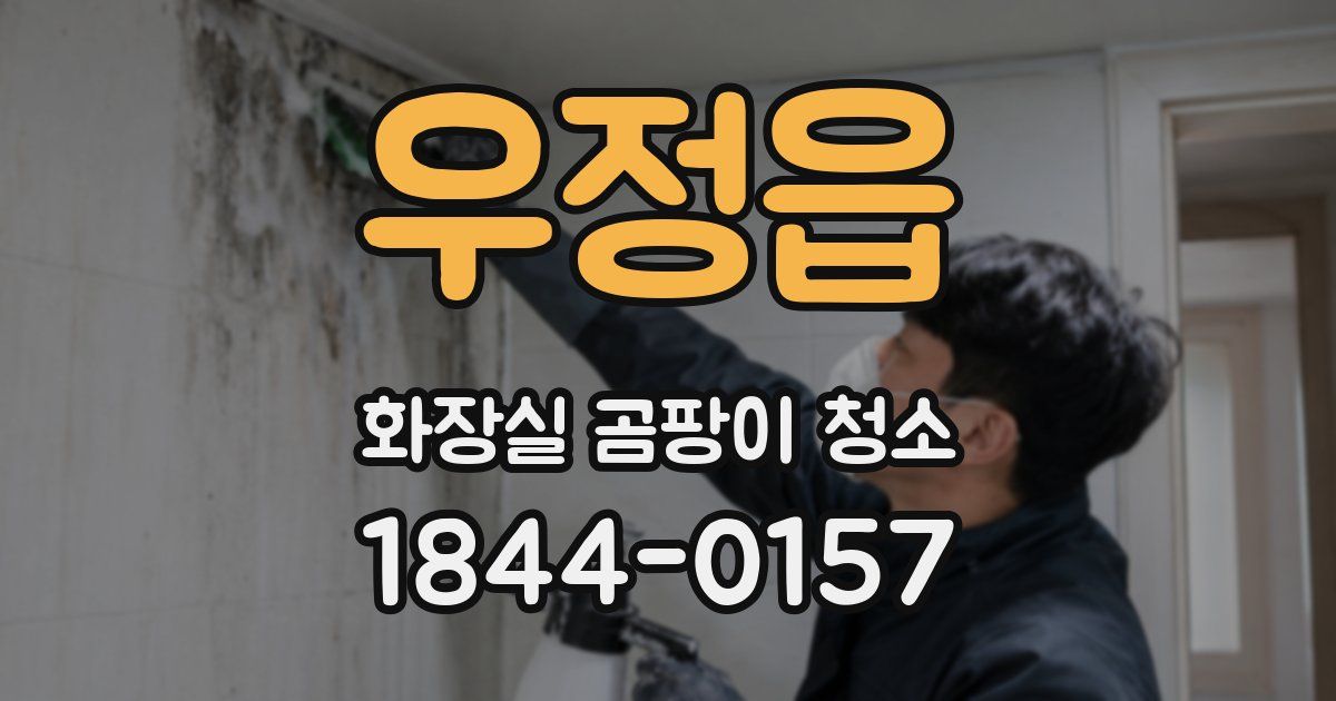 우정읍 화장실 곰팡이 청소