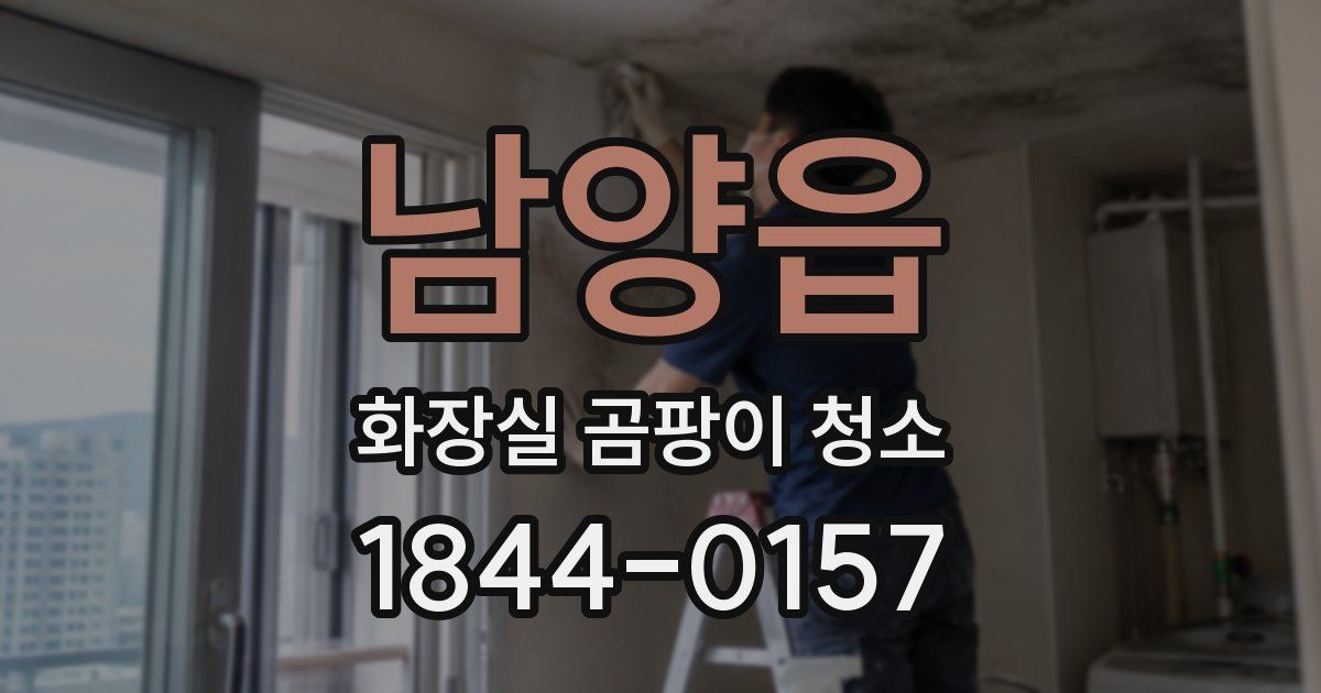 남양읍 화장실 곰팡이 청소