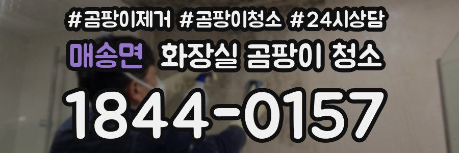 매송면 화장실 곰팡이 청소