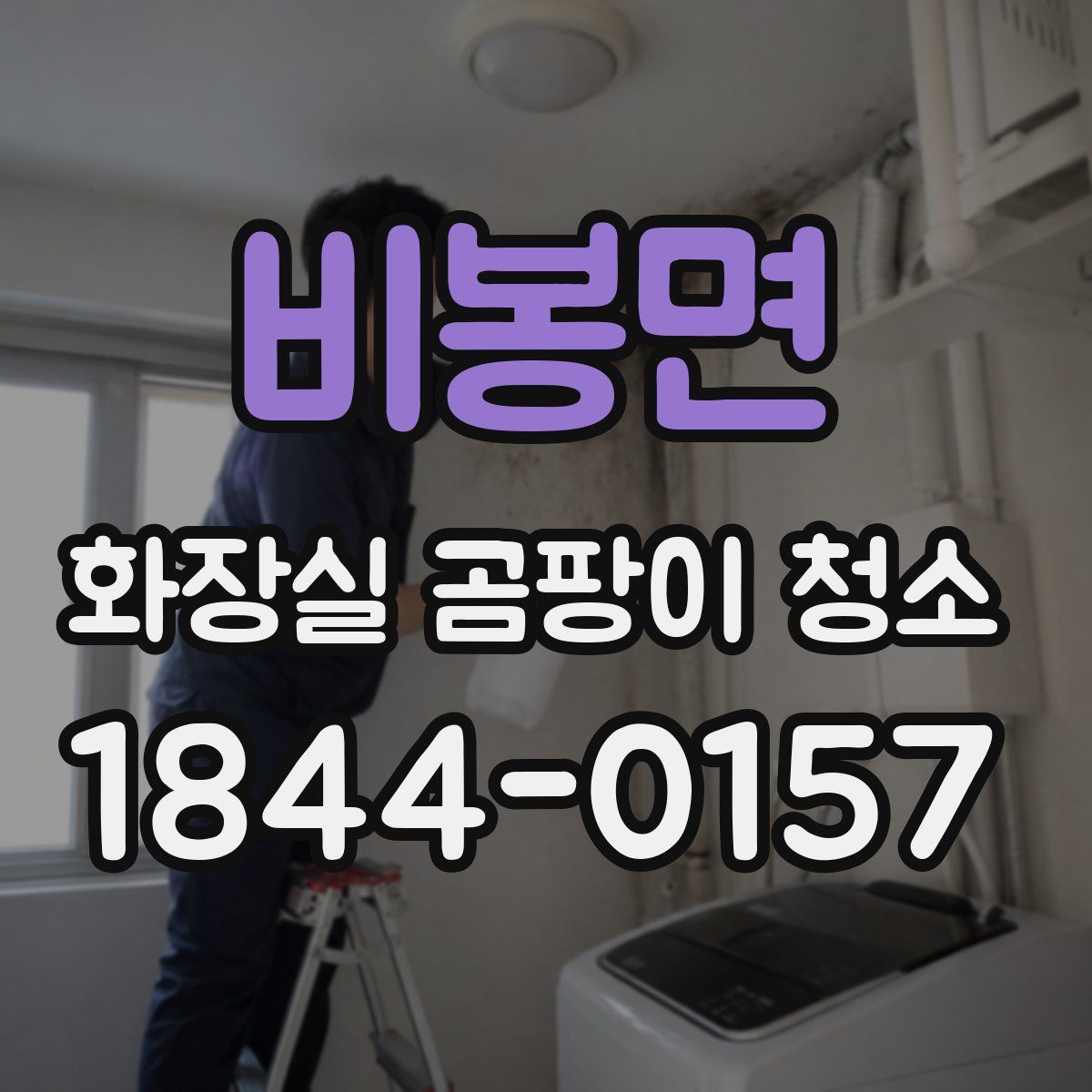 비봉면 화장실 곰팡이 청소
