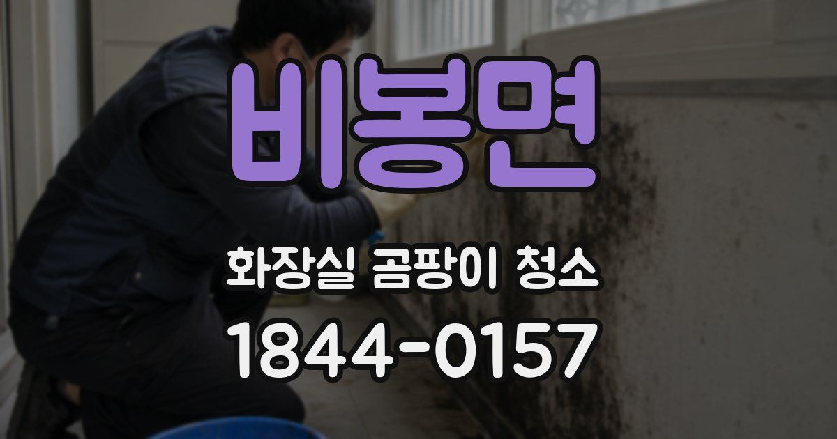 비봉면 화장실 곰팡이 청소