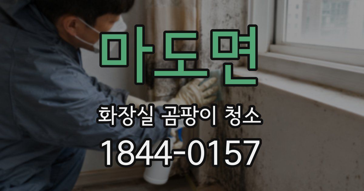 마도면 화장실 곰팡이 청소