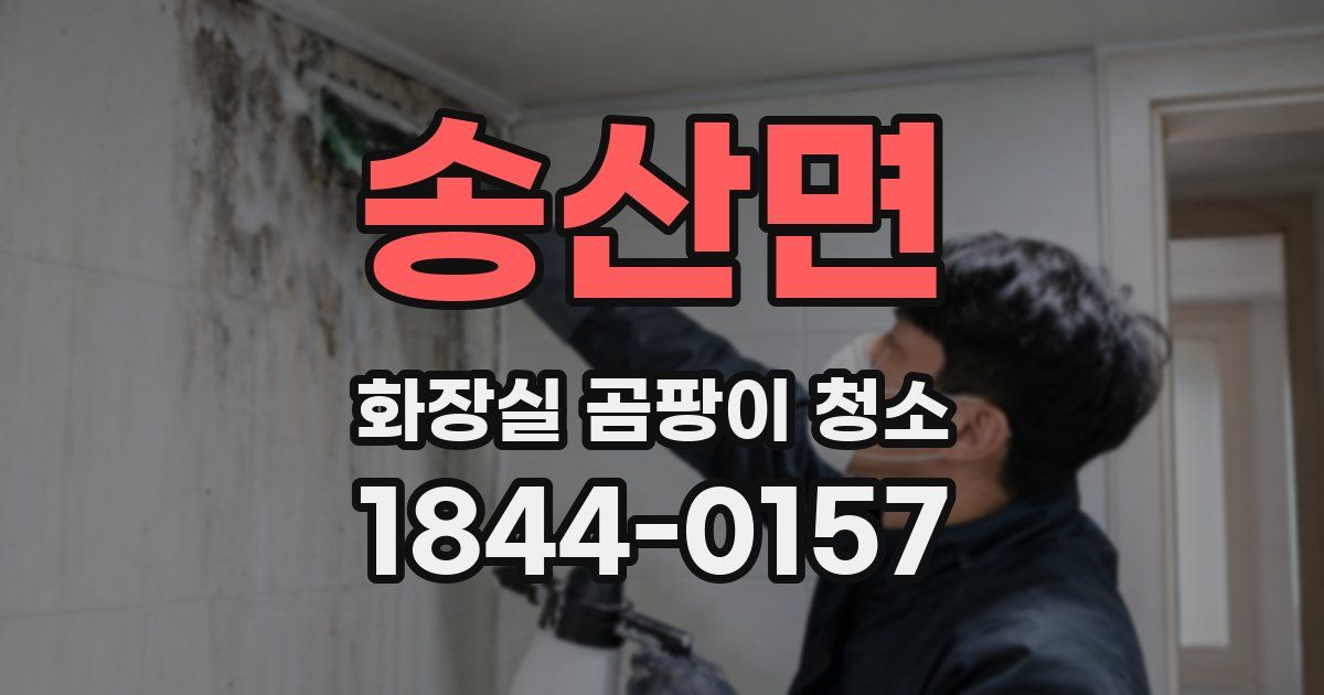 송산면 화장실 곰팡이 청소