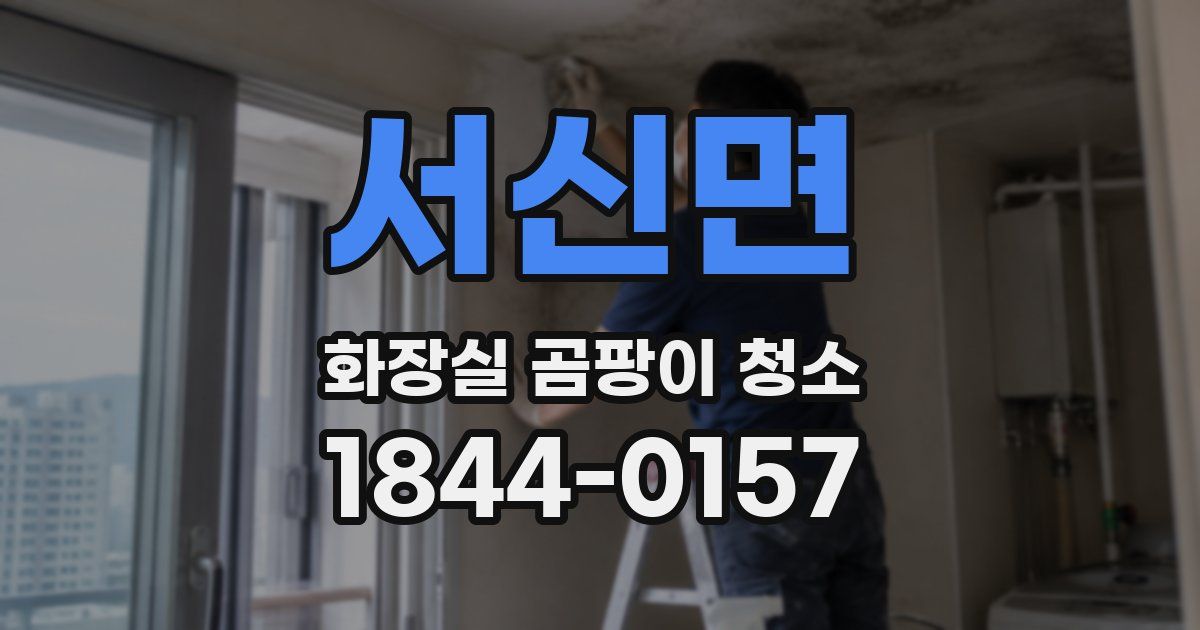 서신면 화장실 곰팡이 청소