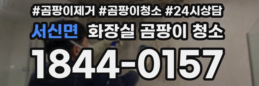 서신면 화장실 곰팡이 청소