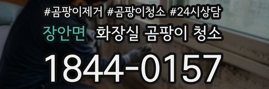 장안면 화장실 곰팡이 청소